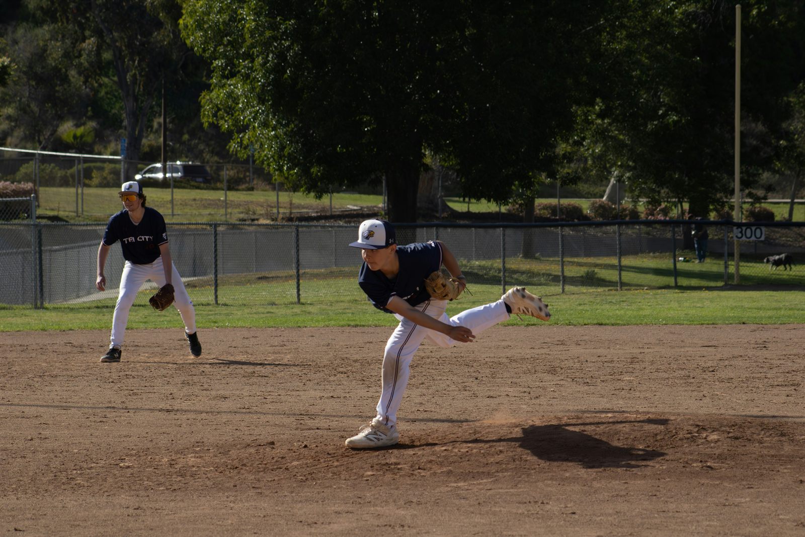 What Is ACWR? A Parent's Guide to Pitcher Workload | Diamond Arm Lab